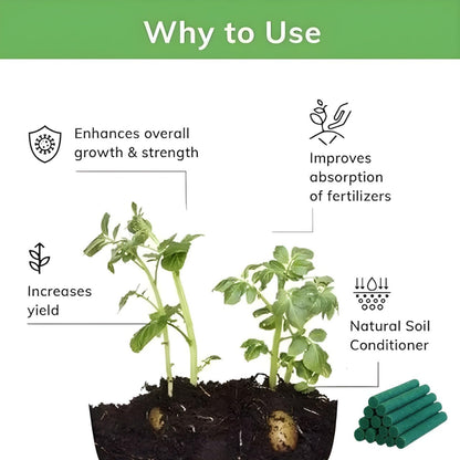 Fertilizer Sticks for Pots Plants ( 25 Sticks )