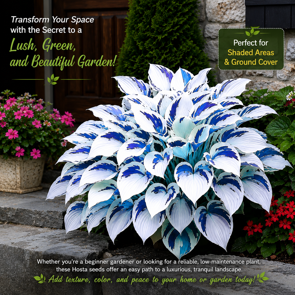 Premium Hosta Grow Kit