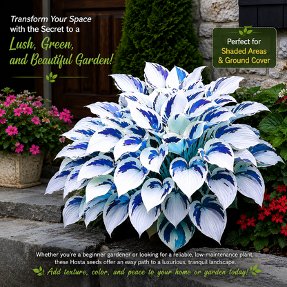Premium Hosta Grow Kit